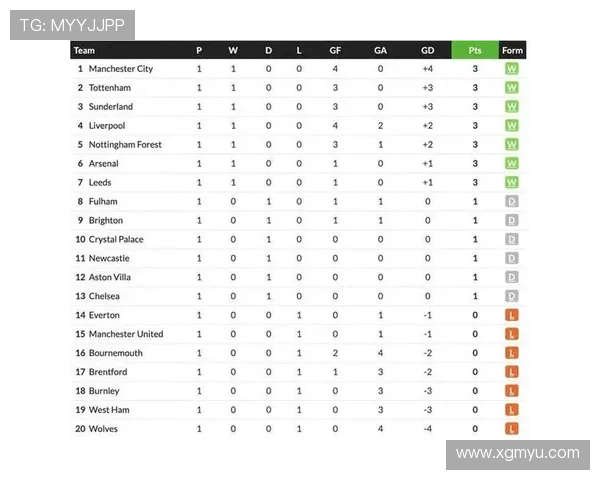 英超各球队粉丝排名及其影响力