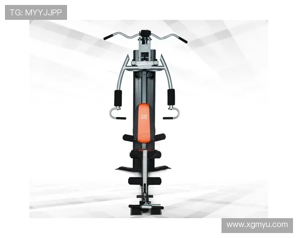 飞鸟组合健身器材:提升训练效果的多功能选择 飞鸟组合健身器材:提升训练效果的多功能选择