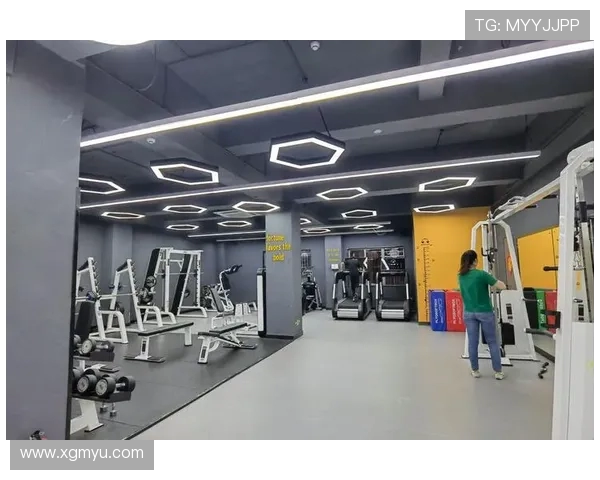 高原特色健身设备：云南力量训练器材专业测评