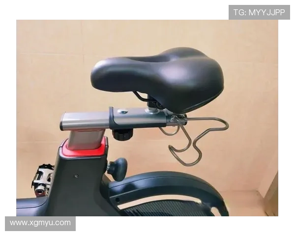 高效燃脂训练最新便携式健身器材应用指南