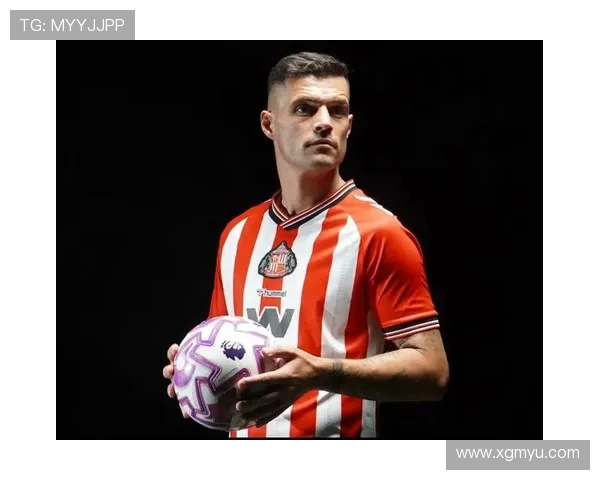 桑德兰队英超时期球员名单及贡献回顾