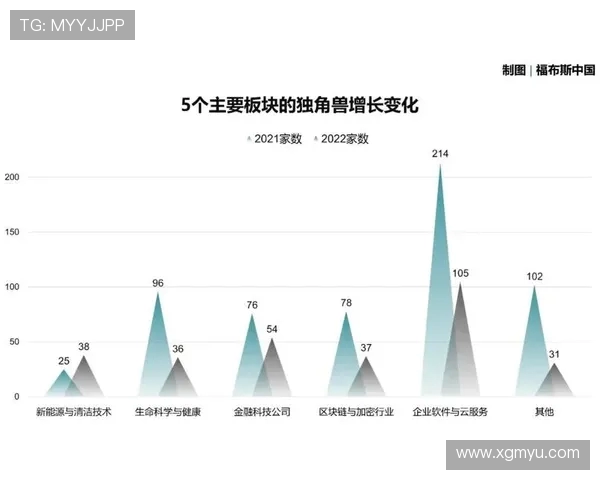 真正的德甲球队队员名单全披露：2025年赛季完整数据