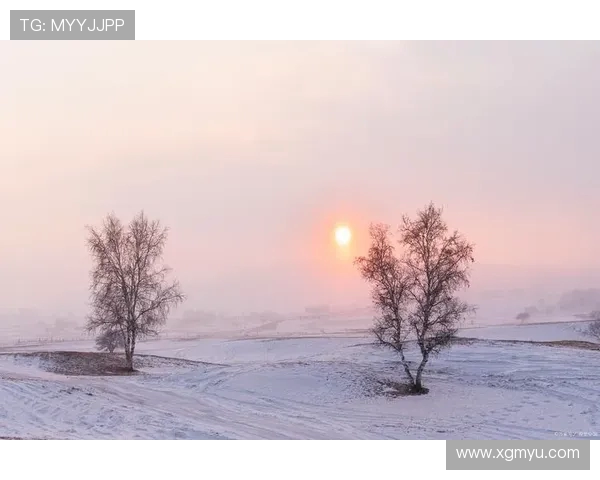 波杰姆谈场上决策信心的重要性质疑自我会导致更差表现