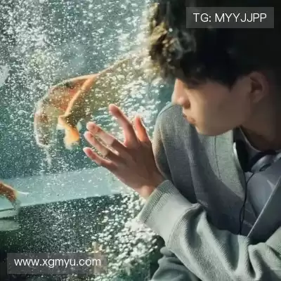 郑舜满